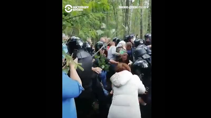 Протесты против вырубки леса под мусороперерабатывающий завод