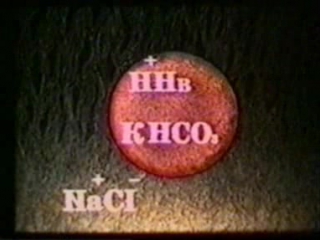 05 перенос газов молодые