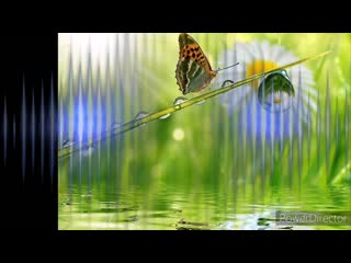 Мотылёк hd 720p (1) mp4