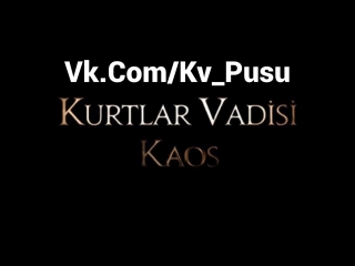 Kurtlar vadisi kaos hakkında !