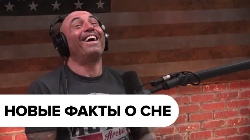 Подкаст джо рогана о сне с мэттью уолкером