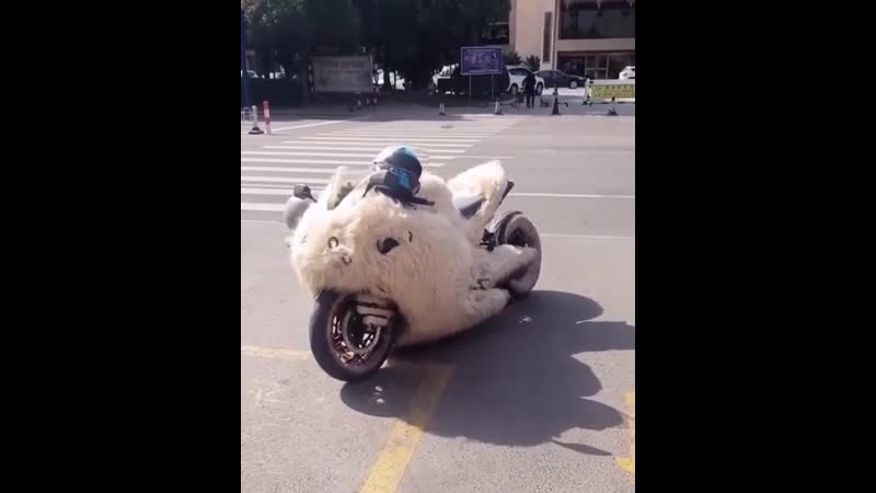 Волосатый мотороллер