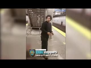 Bystander films man attempting to porn woman on subway