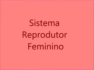 Sistema reprodutor feminino (репродуктивная система женщины) ин яз