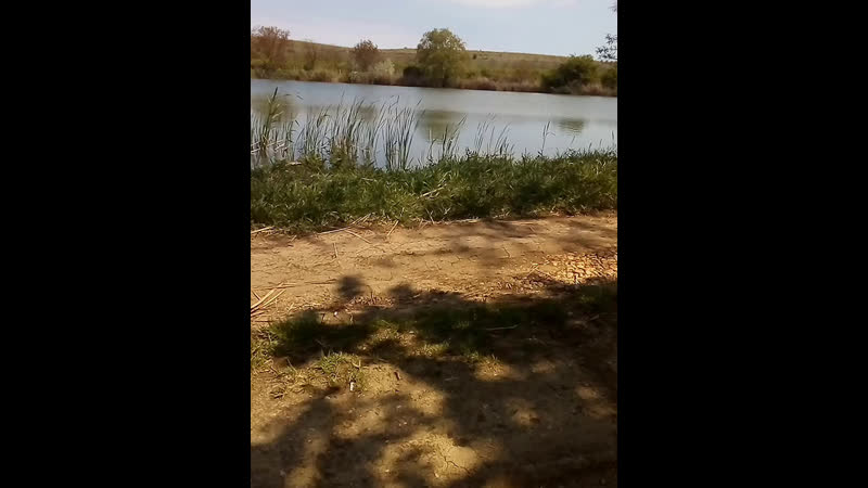 Кольчугино тел +79780474642,+79787063435