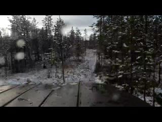 Приезд бедного сына