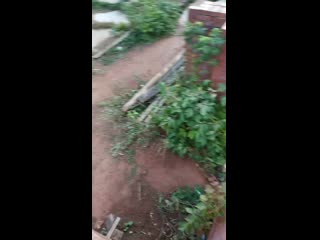 Vid 20200917 171307 mp4