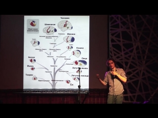 Николай кукушкин расслабься, человечество