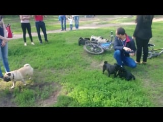 Vid 20170709 183236 mp4