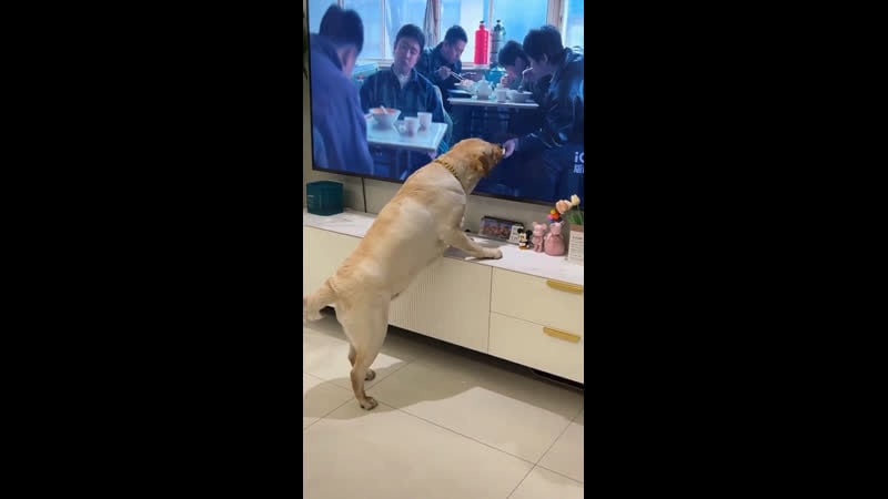 Жестокий цифровой мир