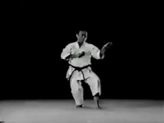 Ката и бункай в сито рю 1 kata and bunkai in karate shito ryu part1