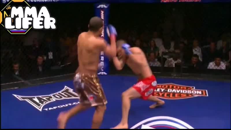 Нокаутирующие колени жозе альдо