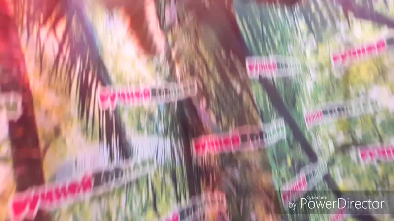 Тамарин hd mp4