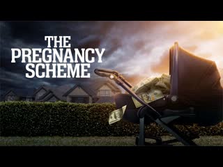 Фальшивая беременность (2023) the pregnancy scheme