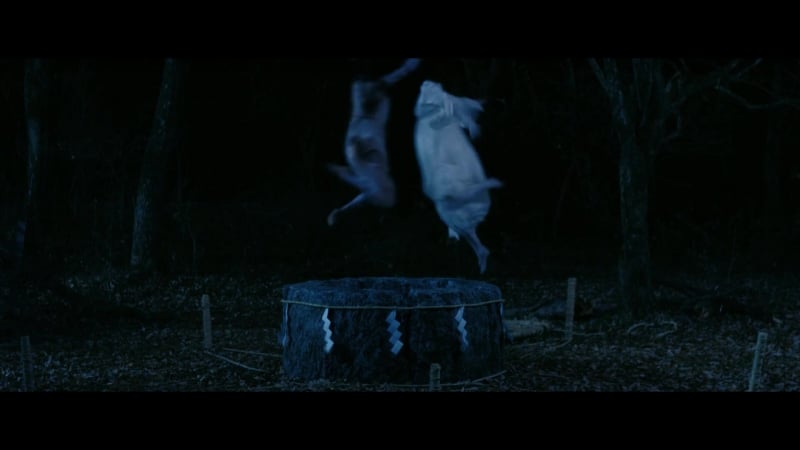 Схватка &amp; противостояние садако и каяко