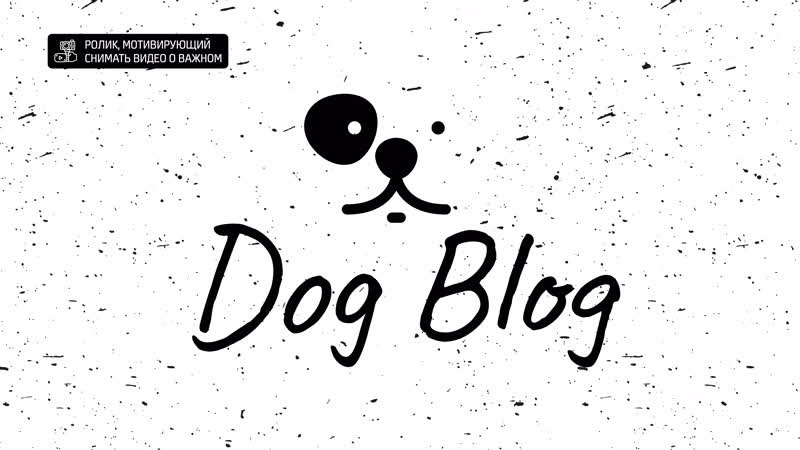 «dog blog» | ролик, мотивирующий снимать видео о важном