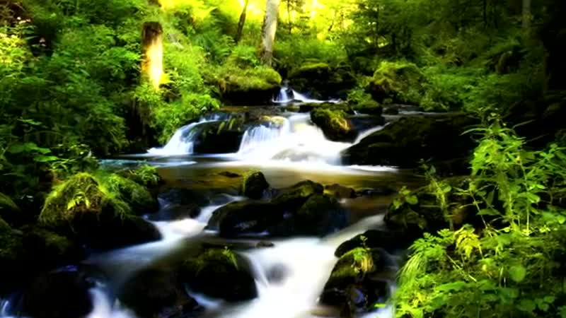 Славянская мантра процветания чаро доро таро хоро ярга драго весе