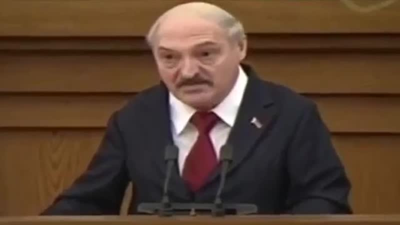 От одного древа растем