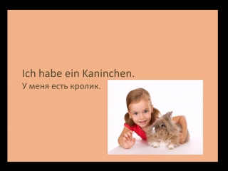 Ich habe ein kaninchen