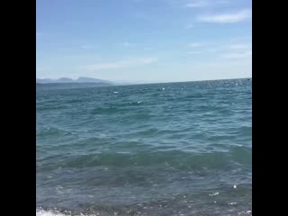 Veronika leiba 20200527 194146 0 mp4