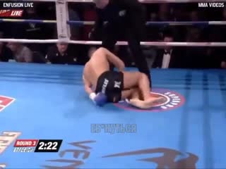 Mohammed jaraya vs nordin ben moh