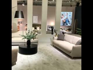 Bellus imm cologne 2020
