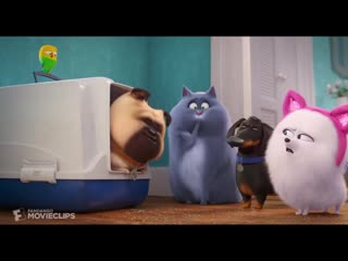 The secret life of pets 2 cat lessons scene (4 10) movieclips