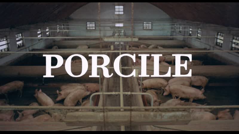 Свинарник / porcile / pigsty (1969) dir pier paolo pasolini [1080p] (eng sub)