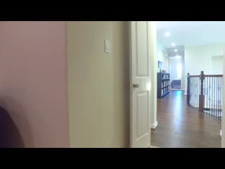 23226 morning dove bend ln spring