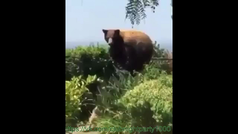 Даваи уходи отсюда блядь