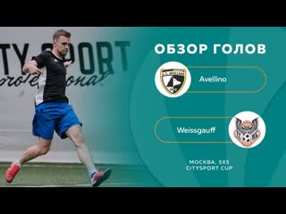 Avellino 4 16 weissgauff, обзор голов