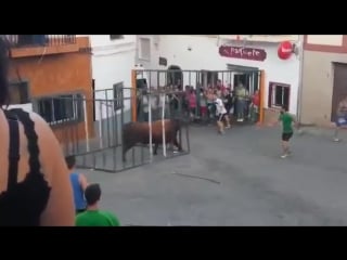 Toros cogida impactante toro dentro de la jaula