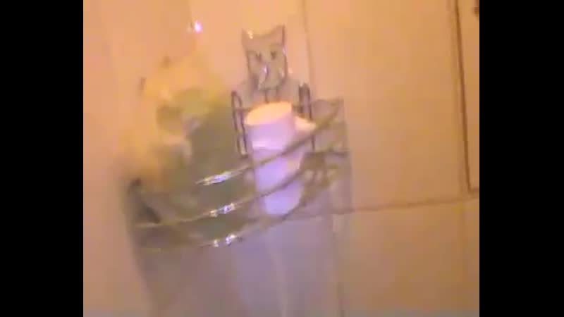 Злой дед сидит в туалете он срёт говном говно и потом он подрочил ( но не на камеру он дрочил )