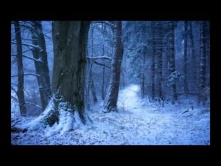 Orrorin daydream a bestiary