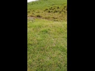 Vid 20200913 105724 mp4