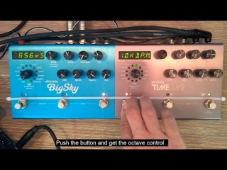 Strymon timeline octave control