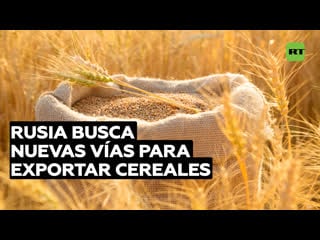 Rusia busca nuevas vías junto al sur global para exportar cereales tras el fin del acuerdo de granos
