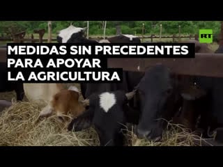 Cuba el gobierno aplica nuevas medidas para estimular el sector agricultor en medio de la inflación