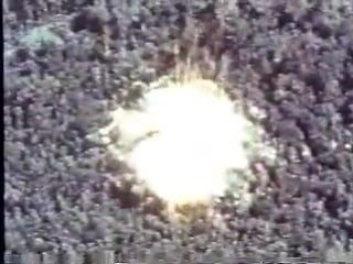 Авиационная молодые blu 82/b daisy cutter