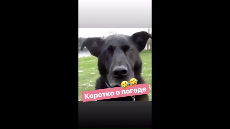 Коротко о погоде в центральной части россии