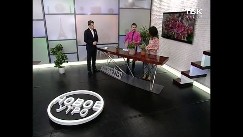 Советы ландшафтного дизайнера комнатные растения, зацветающие зимой