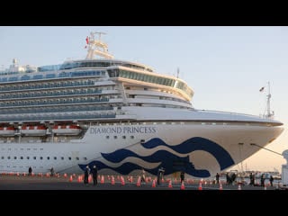 Число инфицированных коронавирусом на лайнере diamond princess возросло втрое