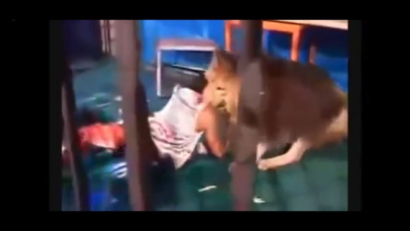 Нападения porn video – Нападения молодые на людей слабонервным не смотреть