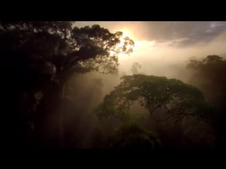 Nature is speaking – julia roberts is mother nature conservation international