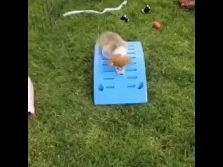 Fit bloger 20200818 160044 0 mp4