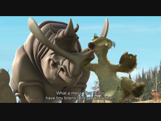 What a mess you rhinos have tiny brains did you know that?