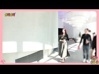 190916 vagabond press conference suzy cut