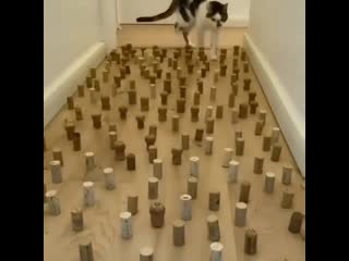 Все четко dct xtnrj