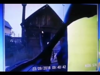 Под иркутском старший лейтенант дпс гибдд из табельного акс 74 у расстрелял медведя перед прибытием полиции медведь набросился