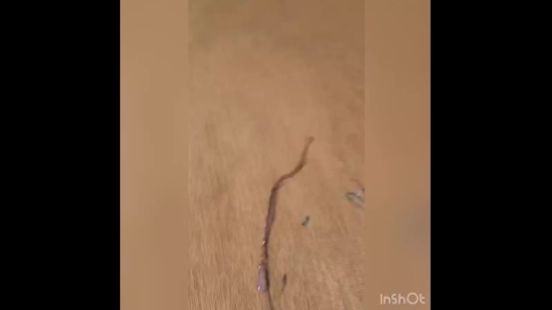 Универсальное чистящее средство